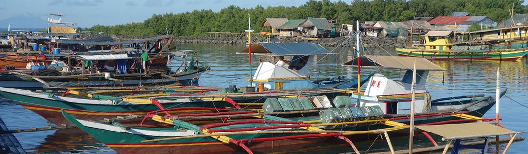 Quản l&yacute; nghề c&aacute;