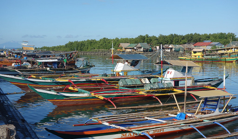 Quản l&yacute; nghề c&aacute;